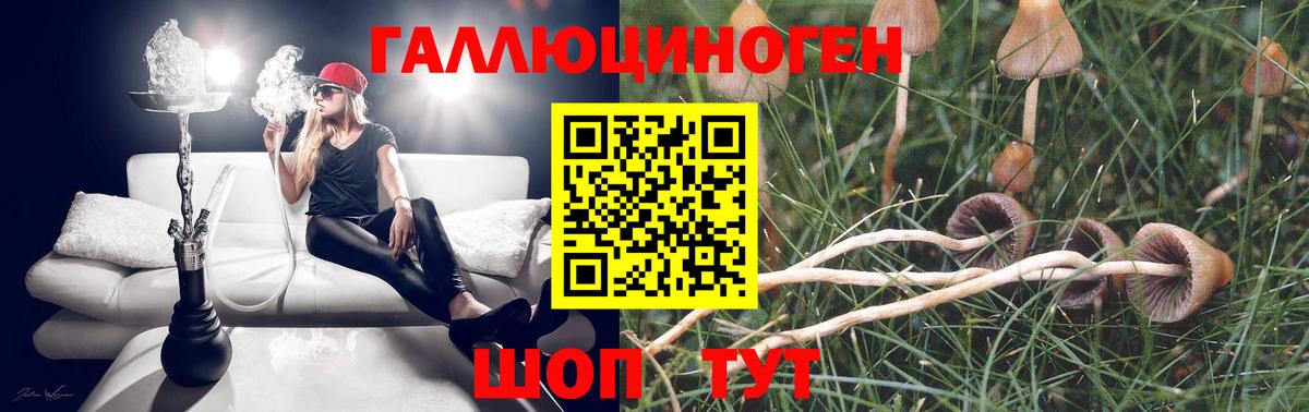Будённовск  Псилоцибиновые грибы Magic Shrooms  Вход с VPN 